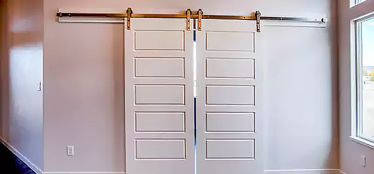 Glass Barn Door with Installation Hardware Kit Islip